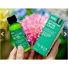 Cỏ cây hoa lá - Bột khử mùi gạo trà 40g, ngăn mùi cơ thể, Rice Bran Green Tea - Giá ưu đãi 172.500₫ 3