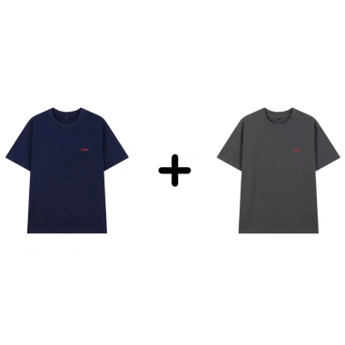 COMBO 2 Áo Thun PN STORE Cổ Tròn Vải Cotton 250gsm Thoáng Mát Co Gian Họa Tiết Thêu Logo Nổi AT05 24
