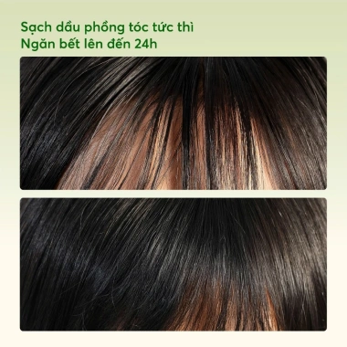 Combo 2 Gội Khô Hương Thảo - Dầu sạch, ngăn bết, phồng tóc mềm, giá ưu đãi 410.000₫