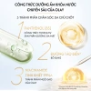 Combo 2 Sữa Dưỡng Thể Olay - Quả Mọng, Dạ Lan Hương, Dưỡng Sáng - Dưỡng ẩm, Sáng da, Giá 444.000đ 5