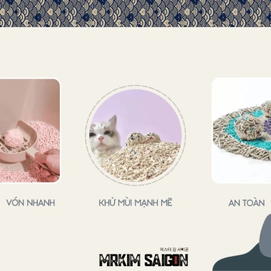 Combo 2 Túi Cát Đậu Nành Cattina 6L (2Kg) - Vón Cứng, Thơm Lâu, Tan Trong Nước, Giá Ưu Đãi 156.000₫