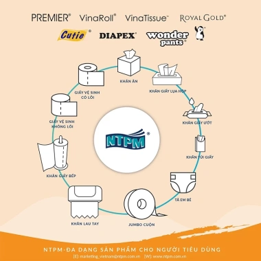 Combo 3 lốc Giấy vệ sinh PREMIER VinaRoll 3 lớp không lõi 100% bột giấy nguyên sinh không chất tẩy - 6 cuộn chỉ 151.000₫