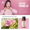 Combo 4 Tặng 1 Tinh Dầu Thiên Nhiên Phòng Thư Giãn Oải Hương, Hoắc Hương, Ngọc Am, Phong Lữ - 899k 6
