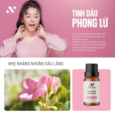 Combo 4 Tặng 1 Tinh Dầu Thiên Nhiên Phòng Thư Giãn Oải Hương, Hoắc Hương, Ngọc Am, Phong Lữ - 899k 6 Combo 4 Tặng 1 Tinh Dầu Thiên Nhiên Phòng Thư Giãn Oải Hương, Hoắc Hương, Ngọc Am, Phong Lữ - 899k 6