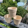 Combo 5 chậu đất nung trắng 6x7cm trồng Sen Đá & Xương Rồng - Độ bền cao, phù hợp sân vườn - Mầm Nắng Garden - Giá chỉ 70.000 (lỗi 1 đền 1) 2