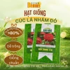 (COMBO 5 Gói) Hạt giống Cúc Lá Nhám Đỏ dễ trồng nảy mầm nhanh hạt chuẩn Ban Mai Seeds (23)