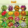 (COMBO 5 Gói) Hạt giống Cúc Lá Nhám Đỏ dễ trồng nảy mầm nhanh hạt chuẩn Ban Mai Seeds (23) 3