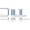Combo 5 Que Thử Thai Quick Tana - Phát hiện thai sớm, chỉ 59.800₫ (giá gốc 76.544₫) 4