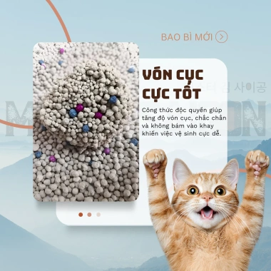 Combo 5 Túi Cát Vệ Sinh Mèo 19KG Đất Sét Cứng Khử Mùi Thơm Lâu 219.000 VND 2