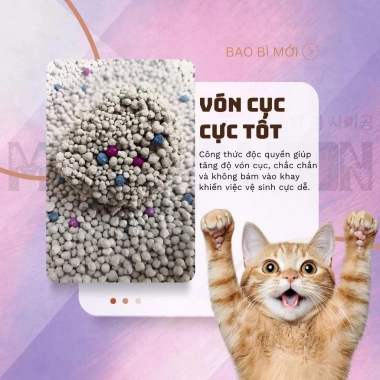 Combo 5 Túi Cát Vệ Sinh Mèo 19KG Đất Sét Cứng Khử Mùi Thơm Lâu 219.000 VND 6