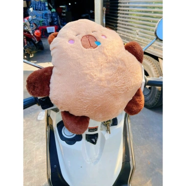 Combo An Toàn Ghế Ngồi Xe Máy Tay Ga, Dây Đai 100cm, Gối Capybara – 345.800₫ 4 Combo An Toàn Ghế Ngồi Xe Máy Tay Ga, Dây Đai 100cm, Gối Capybara – 345.800₫ 4