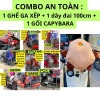 Combo An Toàn Ghế Ngồi Xe Máy Tay Ga, Dây Đai 100cm, Gối Capybara – 345.800₫ 6