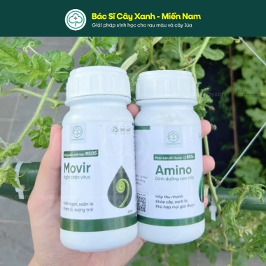 Combo BS05 BS14 Trị Xoăn Ngọn Khảm Lá Sượng - Phục Hồi Cây Trái Rau Màu Đỏ Virus - Bác Sĩ Cây Xanh Giá 212.000 VND