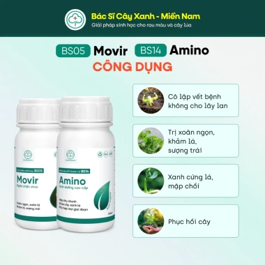 Combo BS05 BS14 Trị Xoăn Ngọn Khảm Lá Sượng - Phục Hồi Cây Trái Rau Màu Đỏ Virus - Bác Sĩ Cây Xanh Giá 212.000 VND 3 Combo BS05 BS14 Trị Xoăn Ngọn Khảm Lá Sượng - Phục Hồi Cây Trái Rau Màu Đỏ Virus - Bác Sĩ Cây Xanh Giá 212.000 VND 3