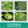 Combo BS05 BS14 Trị Xoăn Ngọn Khảm Lá Sượng - Phục Hồi Cây Trái Rau Màu Đỏ Virus - Bác Sĩ Cây Xanh Giá 212.000 VND 5