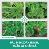 Combo BS05 BS14 Trị Xoăn Ngọn Khảm Lá Sượng - Phục Hồi Cây Trái Rau Màu Đỏ Virus - Bác Sĩ Cây Xanh Giá 212.000 VND 7