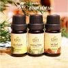 Combo CALM Tinh Dầu Nguyên Chất ESKY AROMA GARDEN 3x10ml Tập Trung Thư Giãn Đuổi Muỗi Giảm Giá 160.900₫ 2