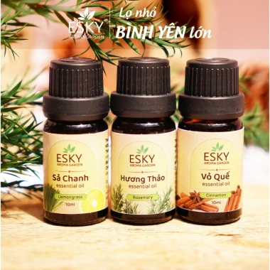 Combo CALM Tinh Dầu Nguyên Chất ESKY AROMA GARDEN 3x10ml Tập Trung Thư Giãn Đuổi Muỗi Giảm Giá 160.900₫