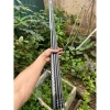 Combo Cần câu Đài Woding Thần Kiếm 5h28i - Rô Riếc Chép Giữ Cá, Giá 110k 5