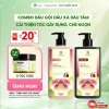 Combo Dầu Gội Xả Dâu Tằm Ngừa Rụng Tóc, Dưỡng Cỏ Mềm - Giá ưu đãi 555.000 VNĐ