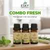 Combo FRESH Tặng Đá Khuếch Tán 10ml x3 - Tinh Dầu Nguyên Chất ESKY Aroma Garden Thông Mũi, Làm Mát, Tỉnh Táo, Đuổi Muỗi