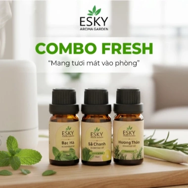 Combo FRESH Tặng Đá Khuếch Tán 10ml x3 - Tinh Dầu Nguyên Chất ESKY Aroma Garden Thông Mũi, Làm Mát, Tỉnh Táo, Đuổi Muỗi