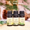 Combo FRESH Tặng Đá Khuếch Tán 10ml x3 - Tinh Dầu Nguyên Chất ESKY Aroma Garden Thông Mũi, Làm Mát, Tỉnh Táo, Đuổi Muỗi 2