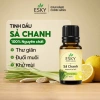 Combo FRESH Tặng Đá Khuếch Tán 10ml x3 - Tinh Dầu Nguyên Chất ESKY Aroma Garden Thông Mũi, Làm Mát, Tỉnh Táo, Đuổi Muỗi 5
