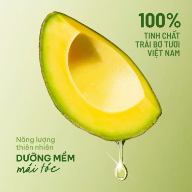 Combo Gội Xả Suôn Mượt Phục Hồi Tóc Trái Bơ Cỏ Mềm - Giá 555.000đ giảm 111.000đ