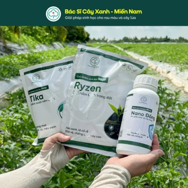 Combo Ngừa Nấm BS06 Nano Đồng BS02 Tika BS09 Ryzen - Đốm Lá Héo Xanh Lở Cổ Rễ 145.000 VND 2