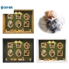 COUTR DIY Cat Mini Museum Silhouette Box Khung ảnh lưu niệm gia đình mèo có đèn LED VN giá ưu đãi 358.160₫