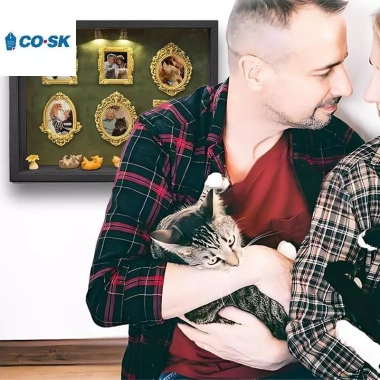 COUTR DIY Cat Mini Museum Silhouette Box Khung ảnh lưu niệm gia đình mèo có đèn LED VN giá ưu đãi 358.160₫