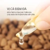 Dầu cá hồi giảm rụng lông, hỗ trợ tiêu hoá, bổ sung Omega cho tim, da và lông - Giá chỉ 23.500 VND 6
