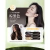 Dầu gội nhuộm tóc một màu đen 520ml - Kem thảo dược tạm thời, vỏ tóc trắng, màu xu hướng 2.025, giảm giá 17% 7