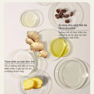 Dầu Gội SPES Gừng Collagen Kiềm Dầu, Giảm Rụng Tóc, Tăng Thể tích - 79.000₫ 2