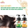 Dầu gội thảo dược Bell Đức 2 trong 1 - Ngăn rụng tóc, mềm mượt, kích thích mọc tóc, da đầu chắc khỏe - Chỉ 98.000₫ 2