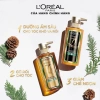 Dầu Gội Xả Dưỡng Tóc Suôn Mượt Cao Cấp L'Oreal Paris Extraordinary Oil Smooth 440ml Rosslyn Giá 235.000đ 4
