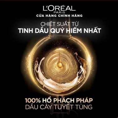 Dầu Gội Xả Dưỡng Tóc Suôn Mượt Cao Cấp L'Oreal Paris Extraordinary Oil Smooth 440ml Rosslyn Giá 235.000đ 7
