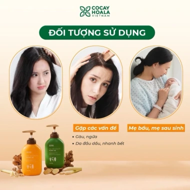 Dầu gội & xả thảo dược Xanhsam Natural Organic - Cỏ cây hoa lá, kích thích mọc tóc, ngăn bết dầu - 97.750₫ 4 Dầu gội & xả thảo dược Xanhsam Natural Organic - Cỏ cây hoa lá, kích thích mọc tóc, ngăn bết dầu - 97.750₫ 4