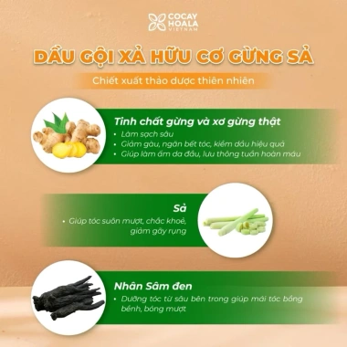 Dầu gội & xả thảo dược Xanhsam Natural Organic - Cỏ cây hoa lá, kích thích mọc tóc, ngăn bết dầu - 97.750₫
