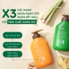 Dầu gội & xả thảo dược Xanhsam Natural Organic - Cỏ cây hoa lá, kích thích mọc tóc, ngăn bết dầu - 97.750₫ 9