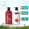 Dầu Gội Xả Tresemme Keratin Smooth 400ml - Dưỡng tóc mượt, giảm gãy, Giá chỉ 302.000 VND 2