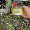 Dây POLIA Thả Diều Khí Động Cao Cấp - Siêu Bền, Đủ Kích Thước, Diều Sáo - GIOQUE STORE 8