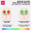 Đệm Gel Lót Ghế Tổ Ong Silicon Thoáng Mát, Êm Ái Ô Tô & Văn Phòng Giá 129k 3