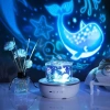 Đèn chiếu trần 3D đổi hình - Hiệu ứng ánh sáng sinh nhật, cổ tích, vũ trụ siêu đẹp, giá 149.000 VND 5