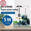 Đèn LED Bể Cá N2HAO 5W, Hạt Xoay 360 Độ, Kẹp Đèn Nhỏ Gọn, Phích Cắm USB, Giá Ưu Đãi 84.810₫