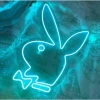 Đèn LED Neon Playboy 18x27cm Màu Hồng - Trang Trí Phòng Ngủ, Giá Ưu Đãi 60.000₫ 5