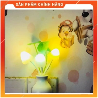 Đèn ngủ cảm ứng đổi màu, hình bình hoa - Đêm sáng ngày tắt, FREESHIP, chỉ 25.000₫