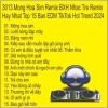 Đĩa CD 3.013 Mong Hoa Sim Remix BXH Nhạc Trẻ 15 EDM TikTok Hot Trend Giá 25.000₫