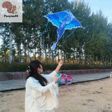 Diều Rồng 1.4m Pterosaur To Đuôi - Bay Dễ Dàng Cho Trẻ & Người Lớn 64.900₫ 6